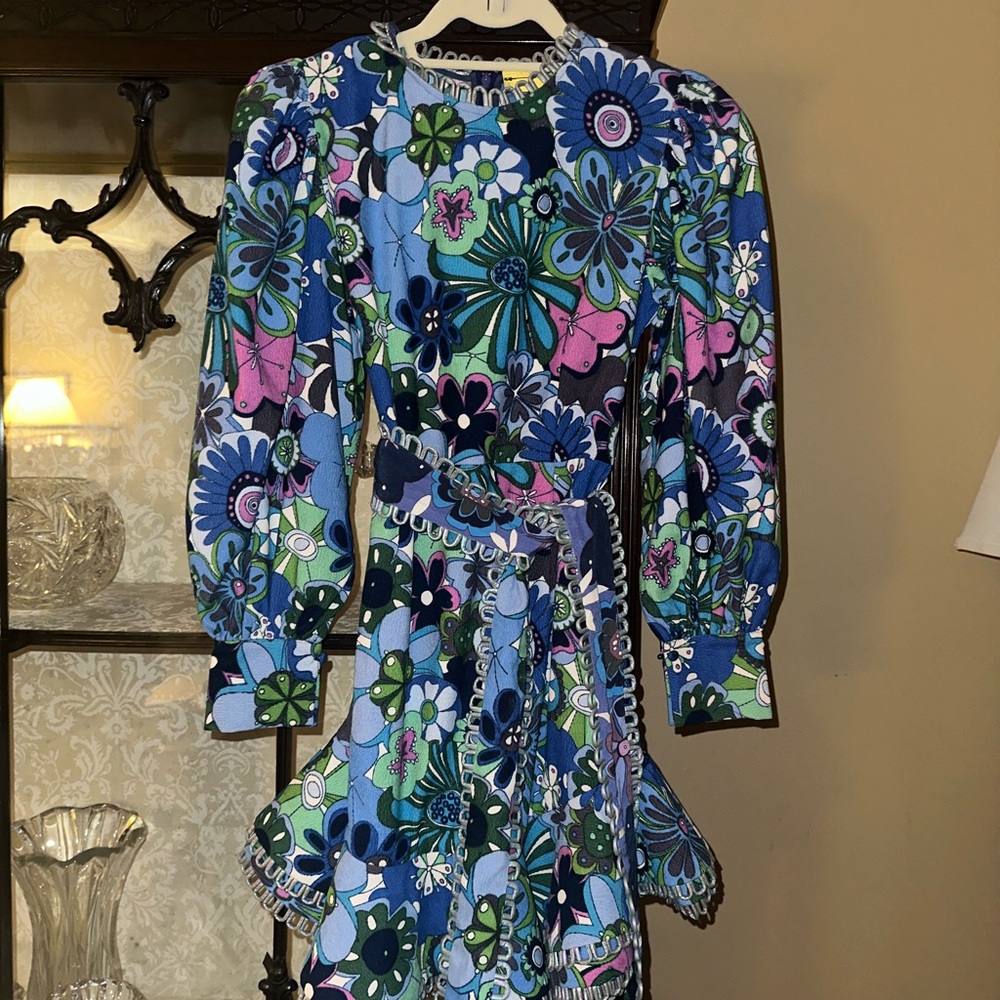 CeliaB Blue, Green & Pink Floral Long Sleeve Mini Dress